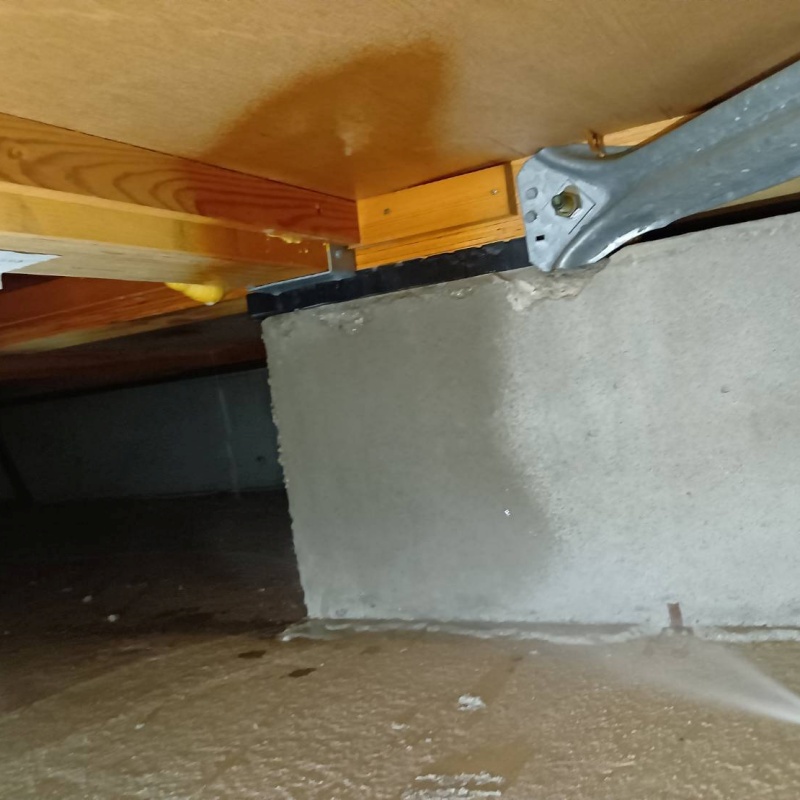 地面に防蟻剤を散布