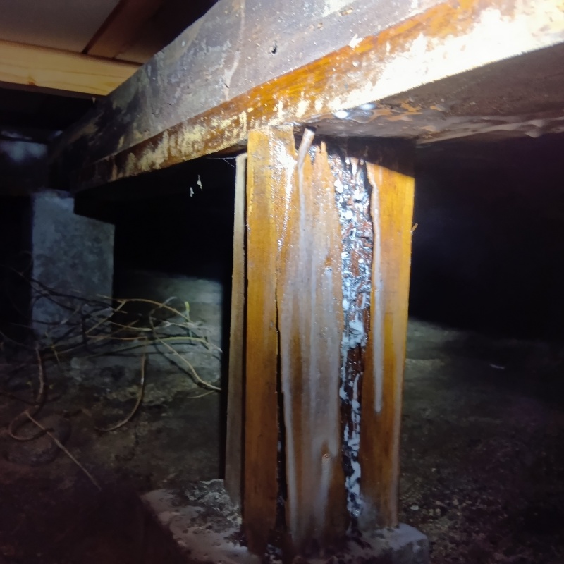 築年数50年のシロアリ駆除の施工事例（千葉県長生郡睦沢町川島）