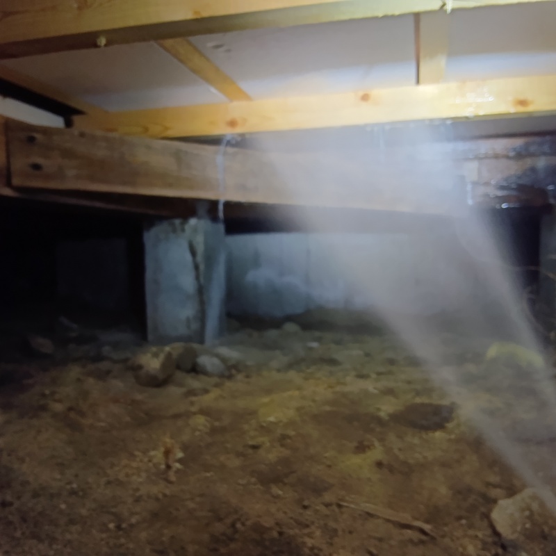 床下断熱材にシロアリ駆除剤を吹き付ける様子