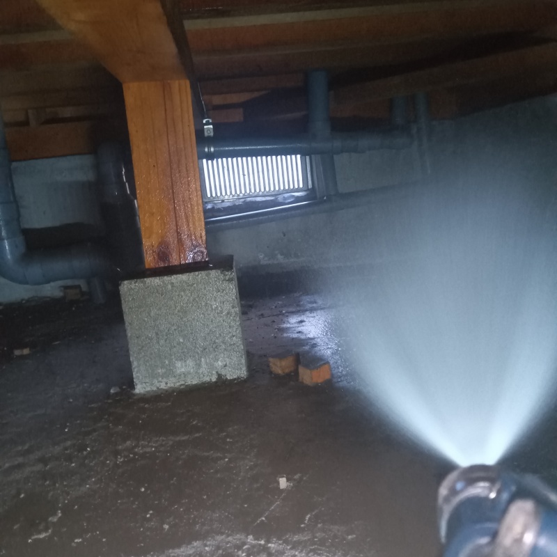 地面にシロアリ駆除剤を散布