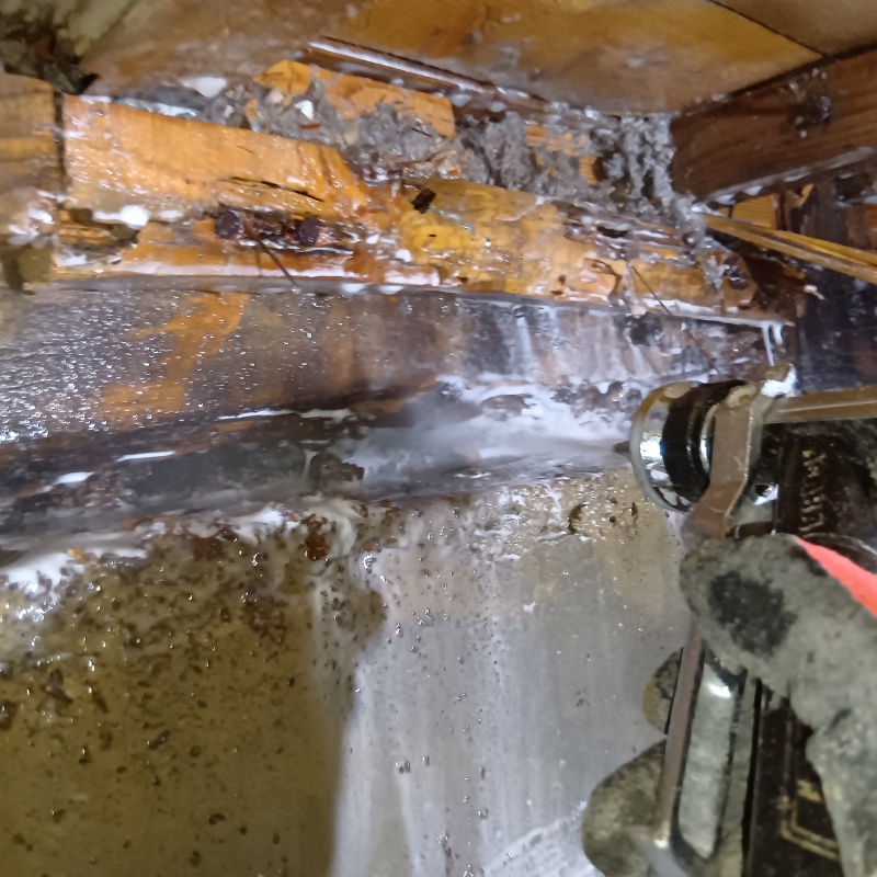 築年数50年のシロアリ駆除の施工事例（長崎県佐世保市）