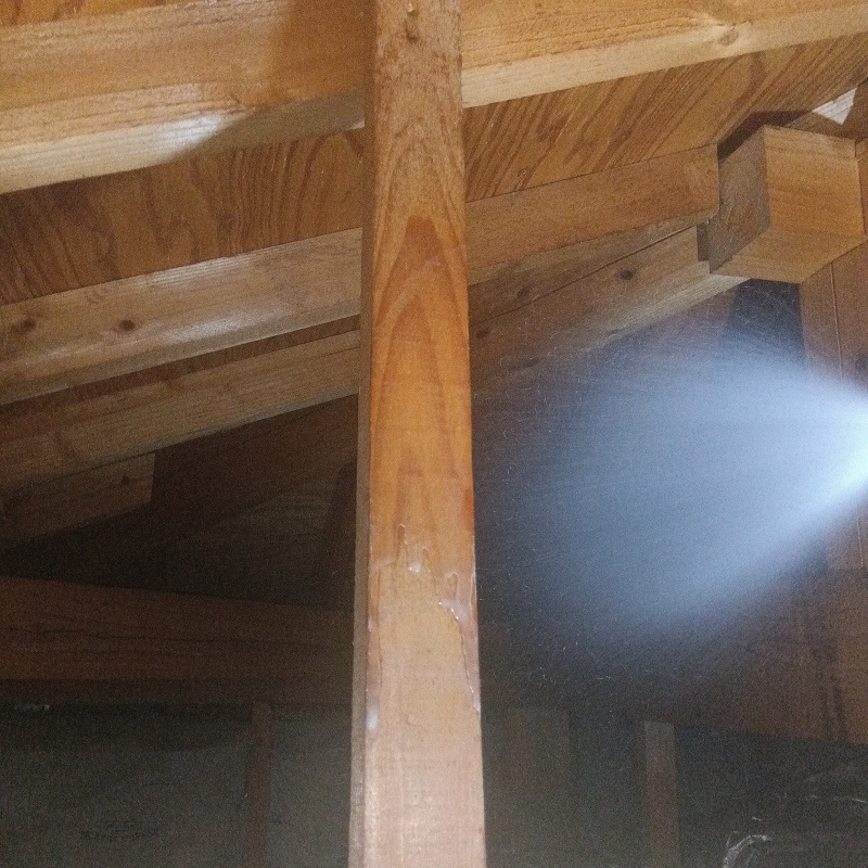 屋根裏の木材にシロアリ駆除剤を散布