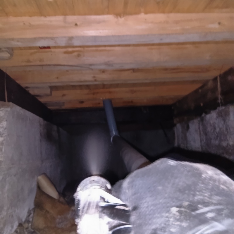 床下木材にシロアリ駆除剤を散布