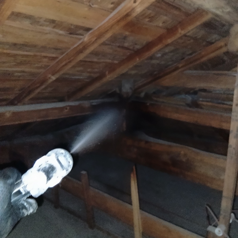 屋根裏の木材にシロアリ駆除剤を散布