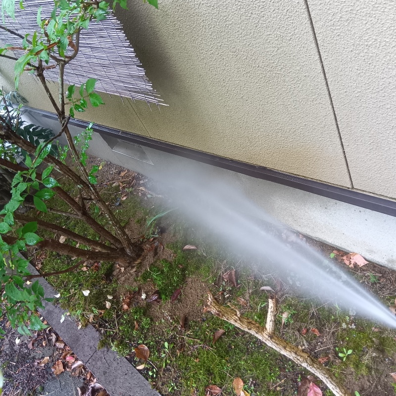 建物外周の土壌にシロアリ駆除剤を散布