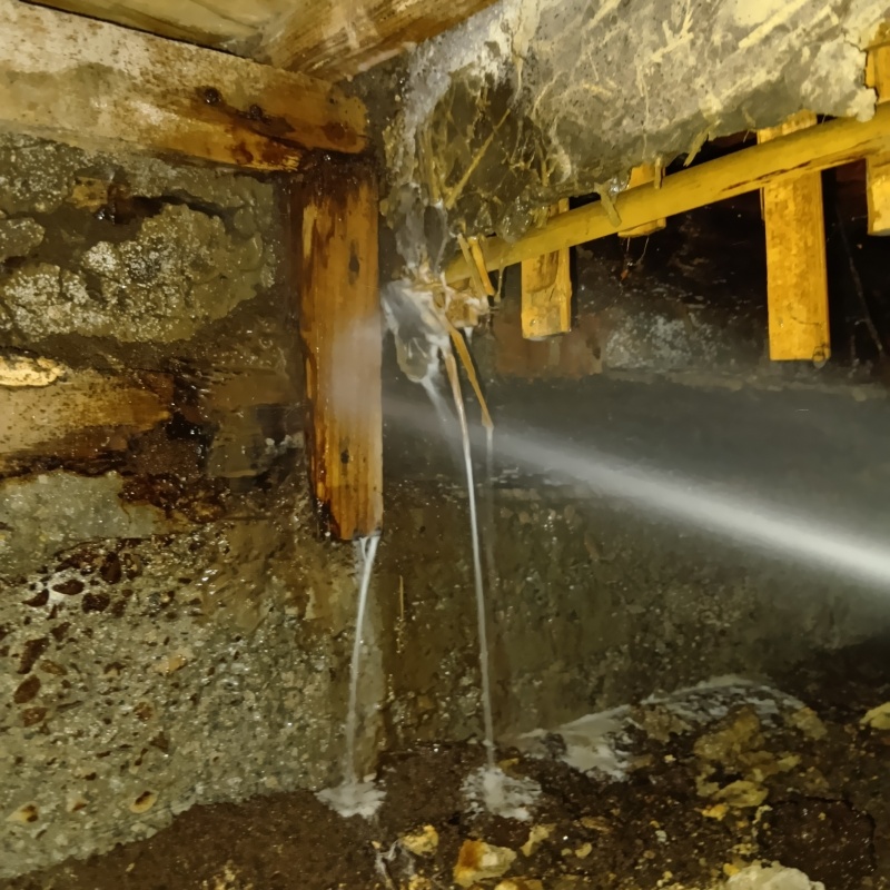 床下木材にシロアリ駆除剤を散布