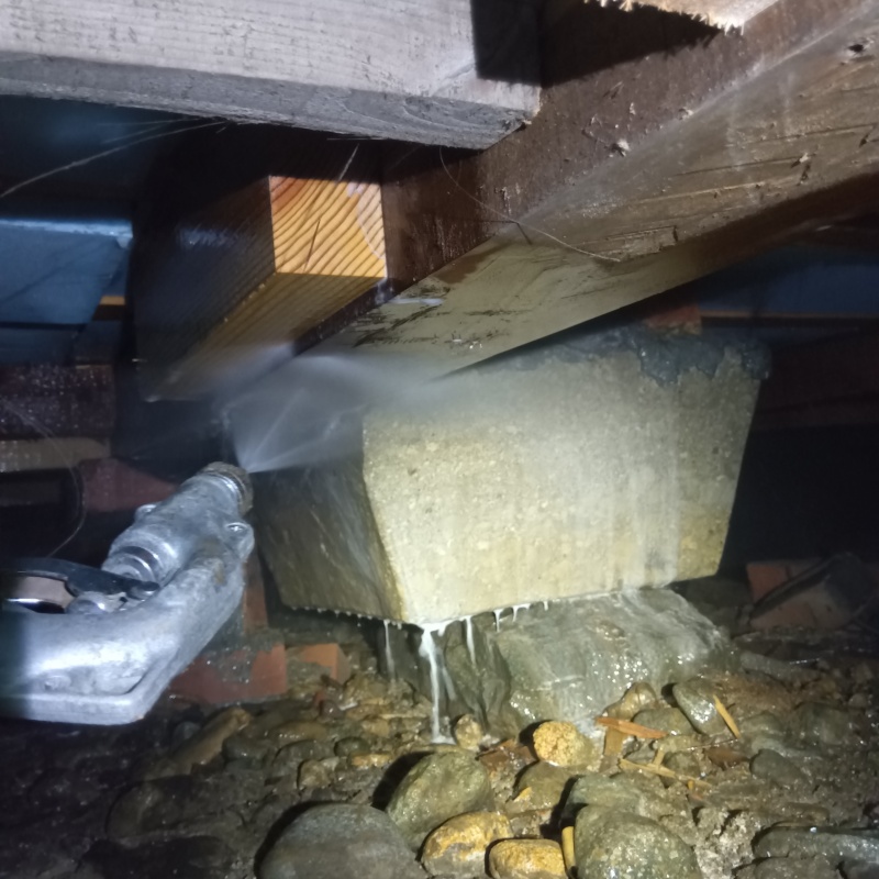 築年数50年のシロアリ駆除の施工事例（長野県松本市）