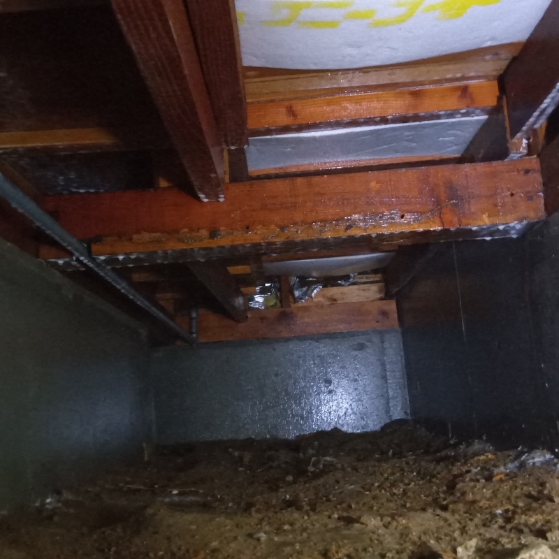 地面・基礎に防蟻剤を散布した様子