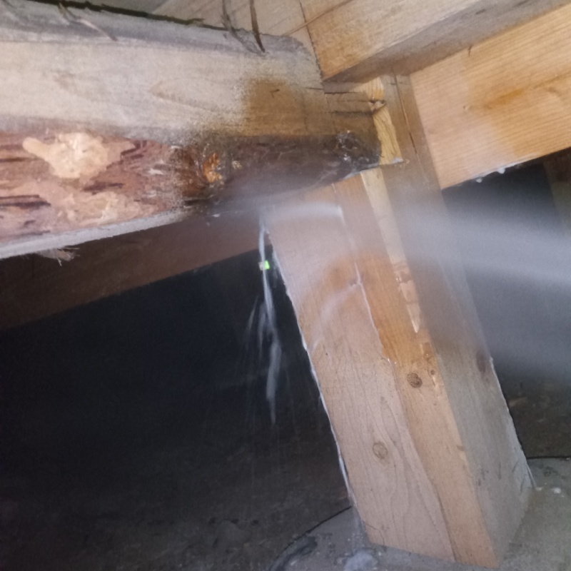 床下木材にシロアリ駆除剤を散布