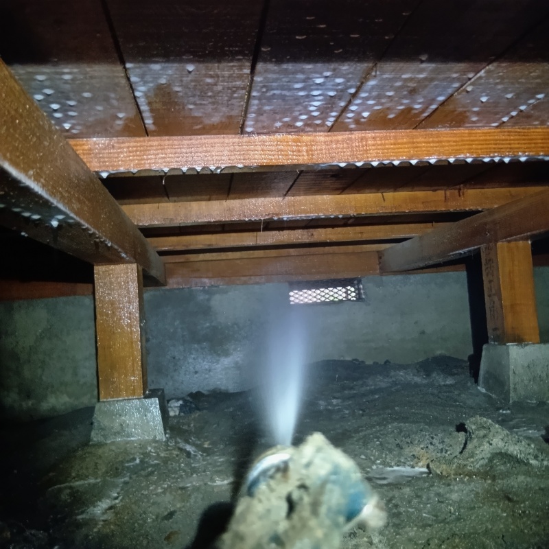 築年数50年のシロアリ予防の施工事例（静岡県静岡市清水区草薙）