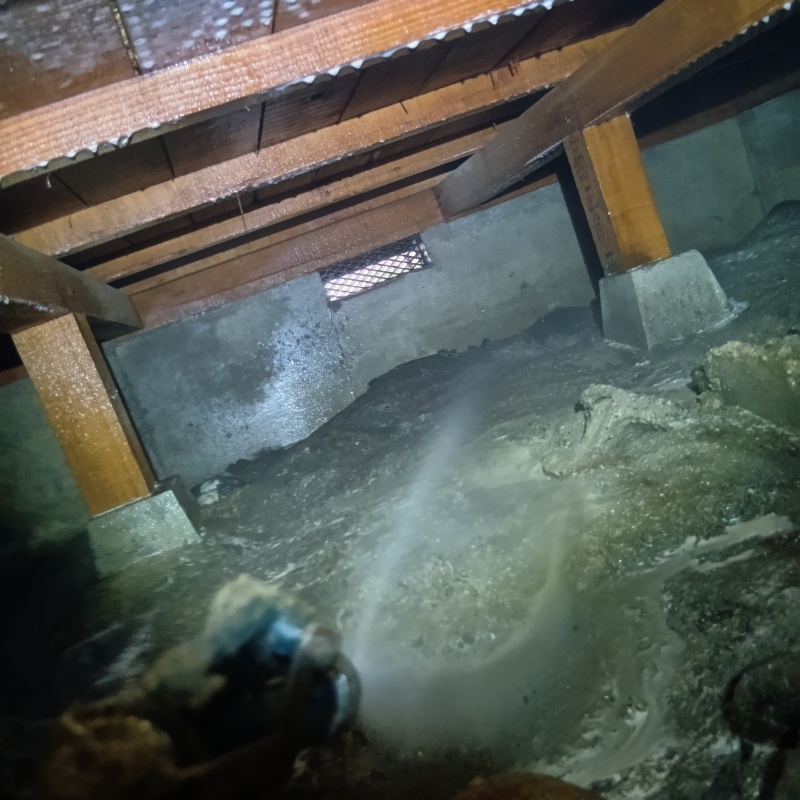 地面に防蟻剤を散布