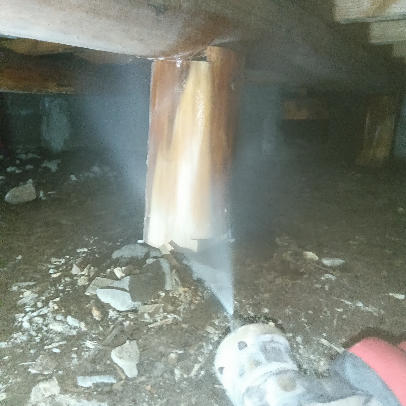 床下木材にシロアリ駆除剤を散布