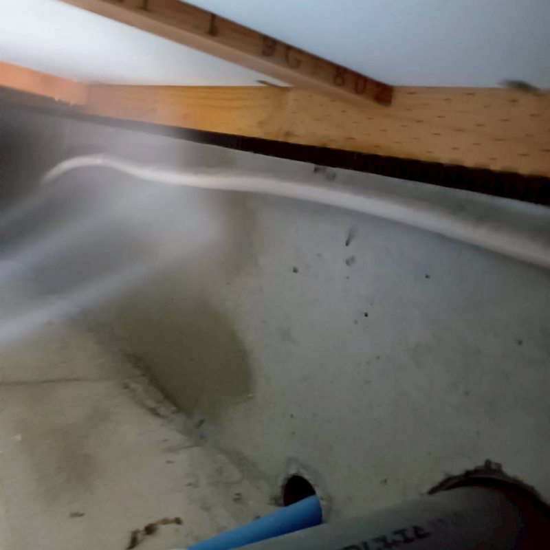 床下木材に防蟻剤を吹き付ける様子