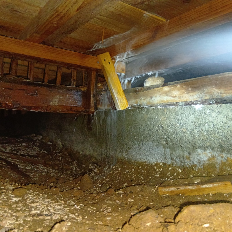 床下木材にシロアリ駆除剤を吹き付ける様子