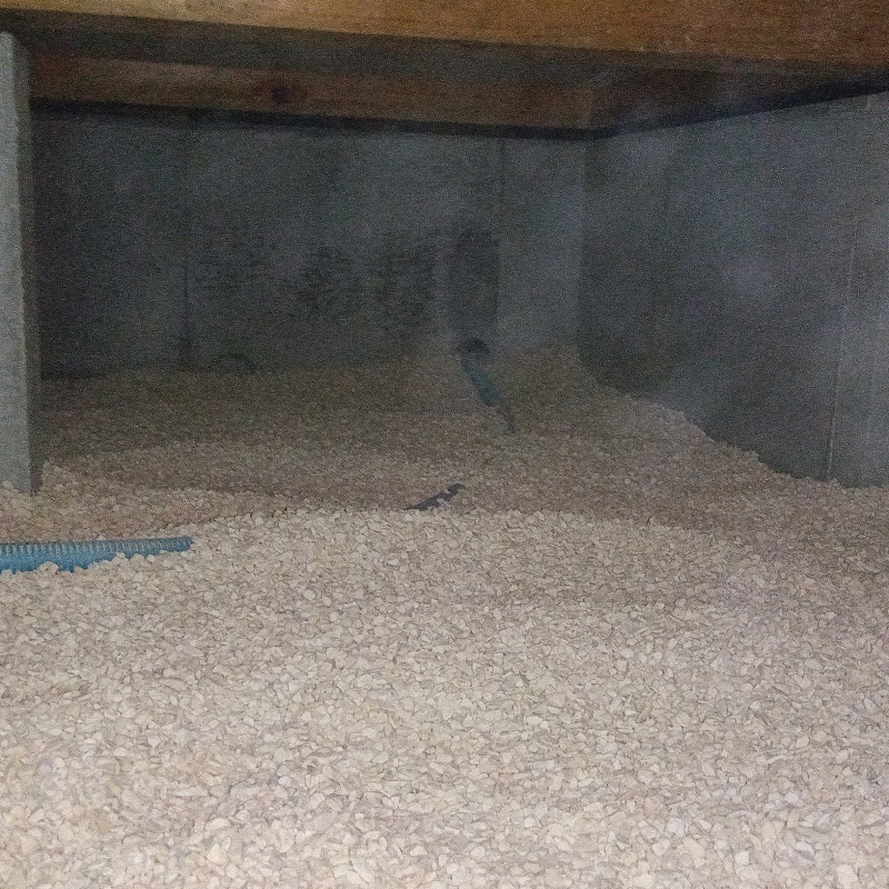 調湿剤を床下に敷いている様子