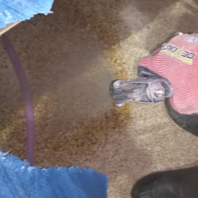 地面に防蟻剤を散布