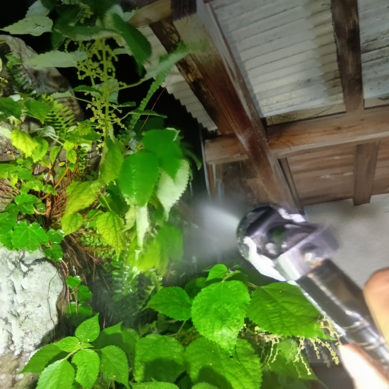 建物外周の土壌にシロアリ駆除剤を散布