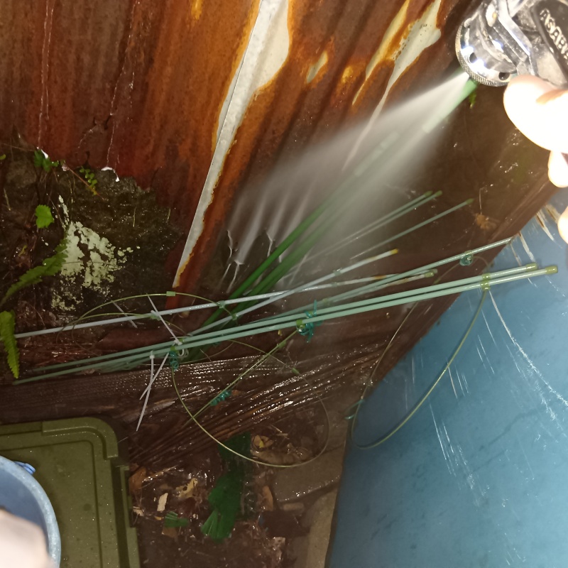 基礎まわりにシロアリ駆除剤を散布する様子