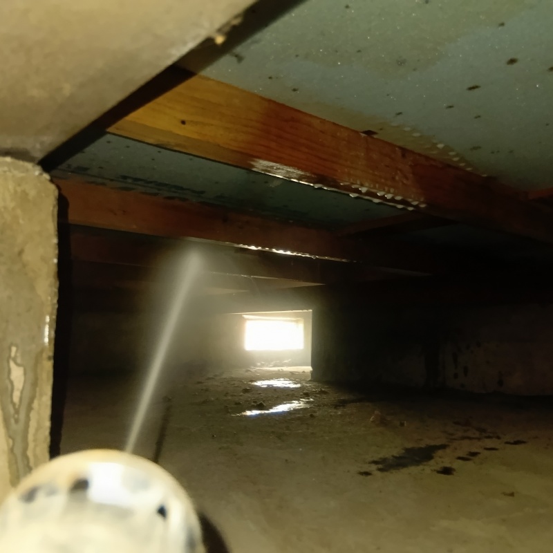 築年数35年のシロアリ予防の施工事例（千葉県佐倉市山王）