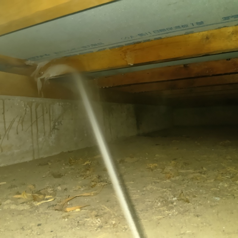 床下木材に防蟻剤を散布している様子