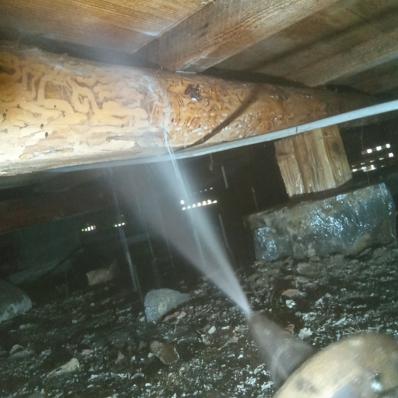 築年数50年のシロアリ駆除の施工事例（滋賀県長浜市八島町）