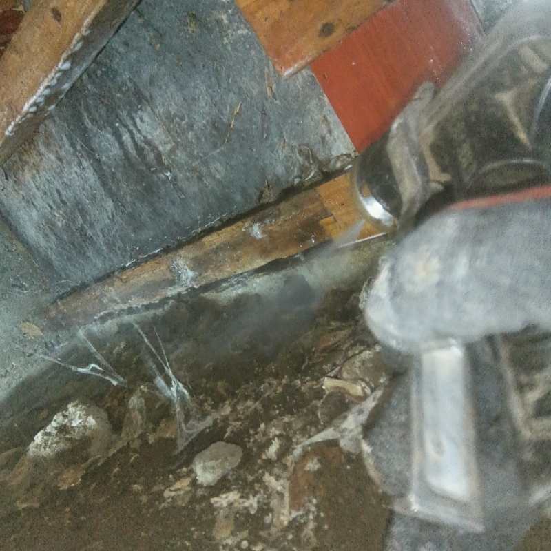 地面にシロアリ駆除剤を散布