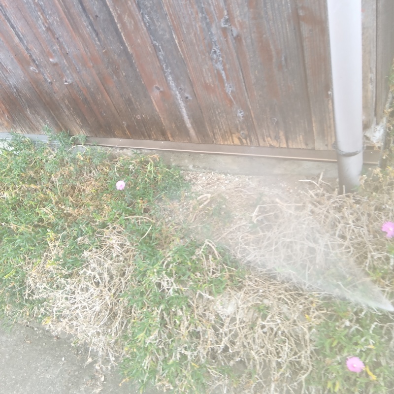 建物外周の土壌にシロアリ駆除剤を散布