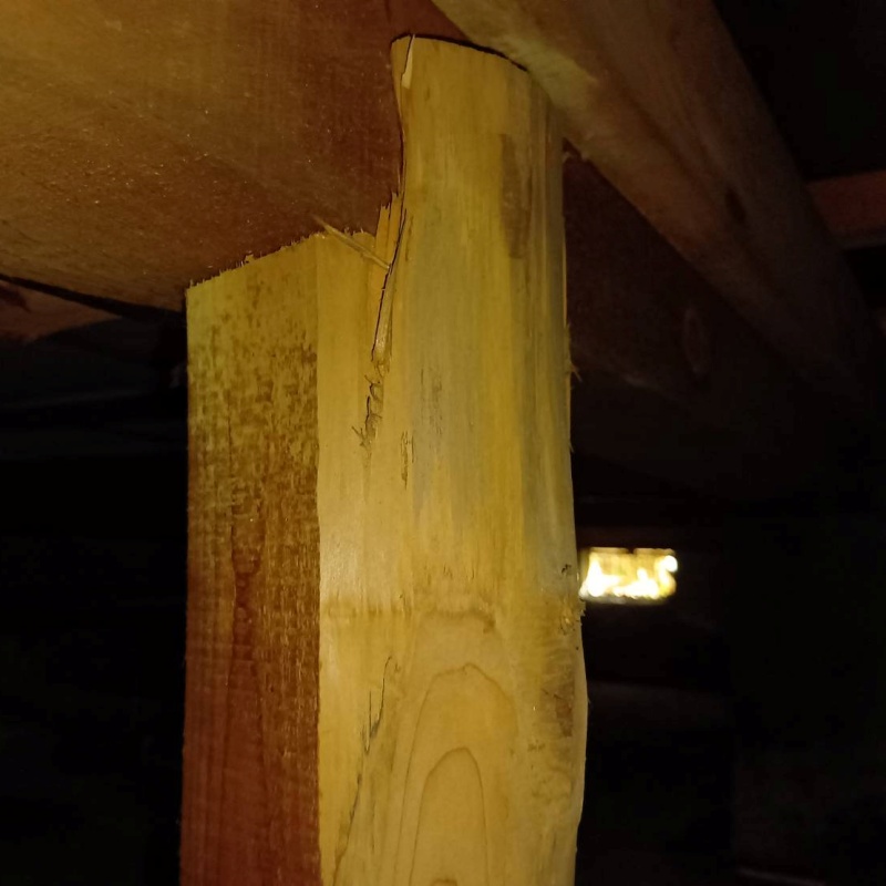 築年数46年のシロアリ駆除の施工事例（愛知県一宮市浅井町西海戸）