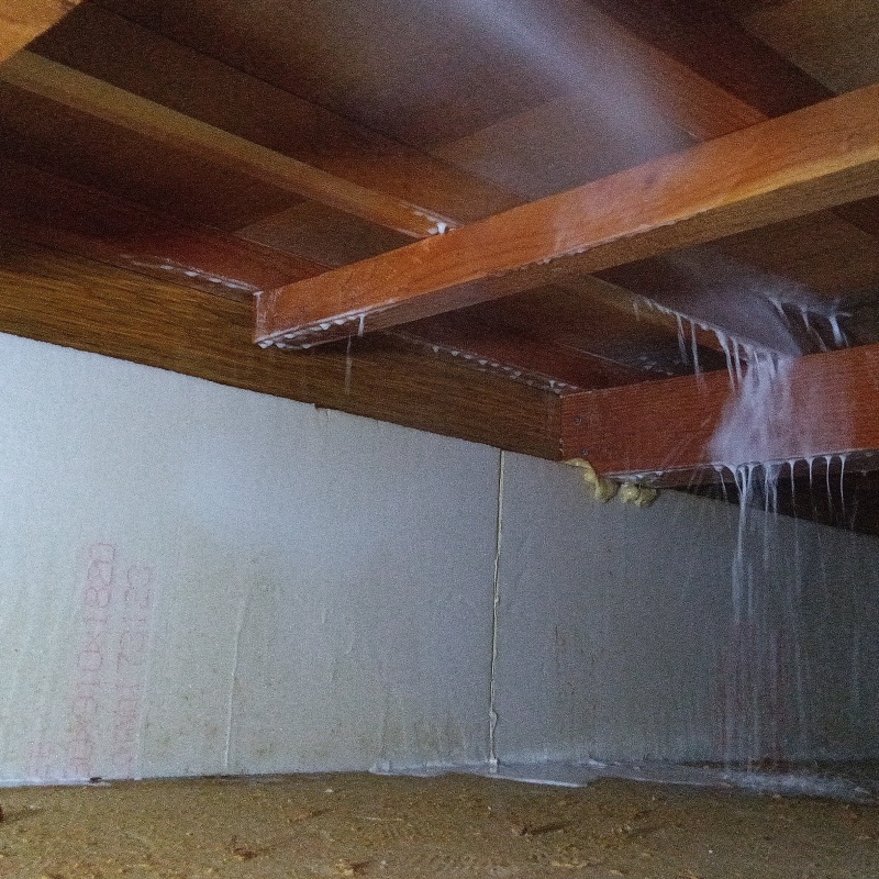 床下の木材にシロアリ駆除剤を散布