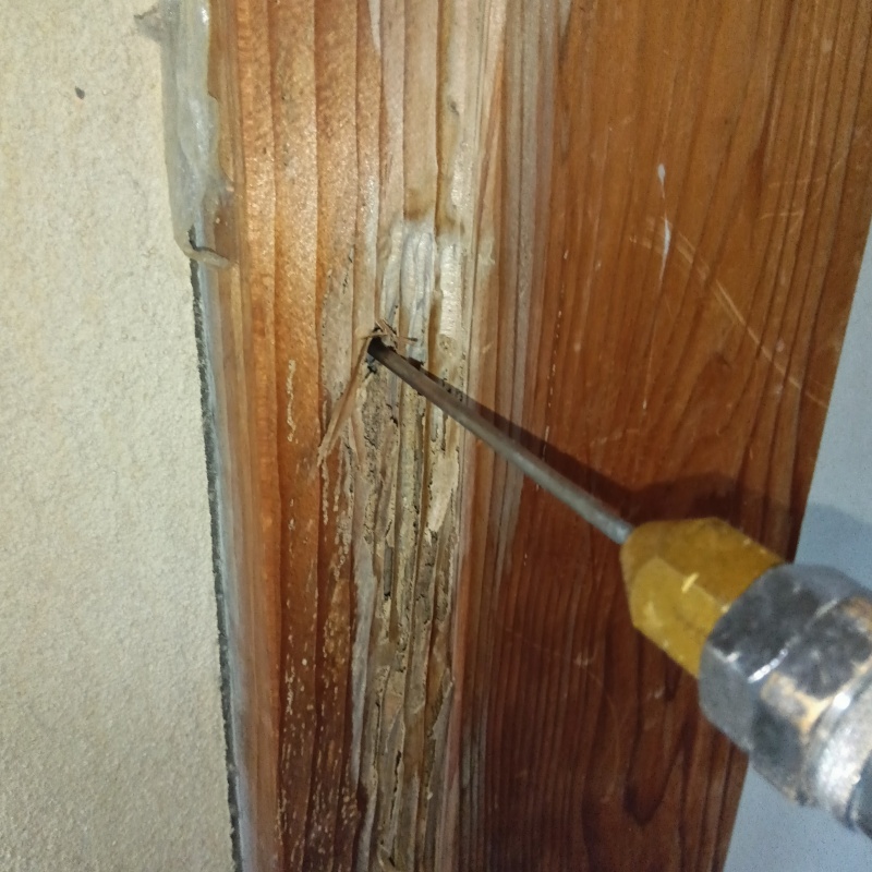築年数30年のシロアリ駆除の施工事例（新潟県三条市塚野目）