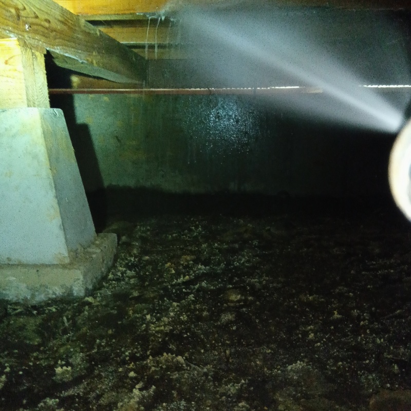 床下の木材にシロアリ駆除剤を散布