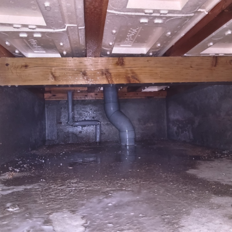 土壌処理が完了した様子