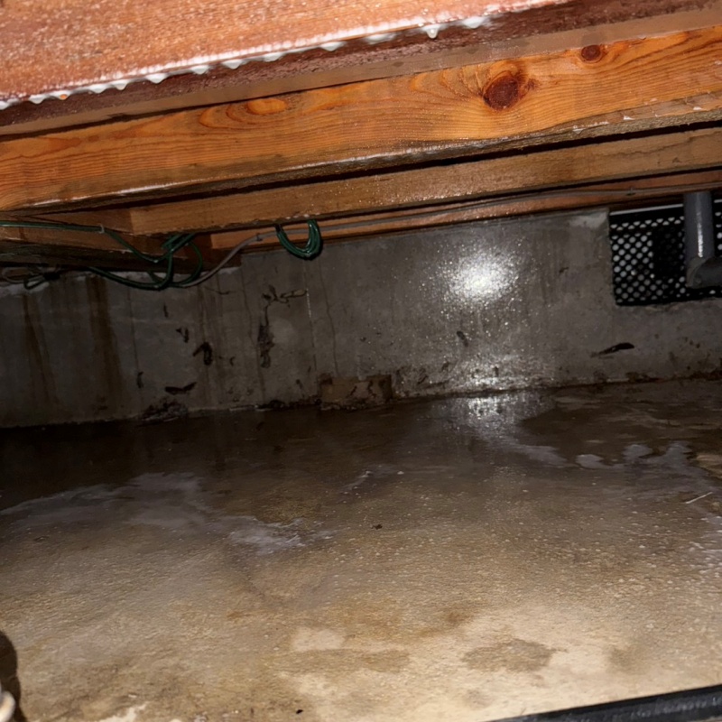 土壌処理が完了した様子