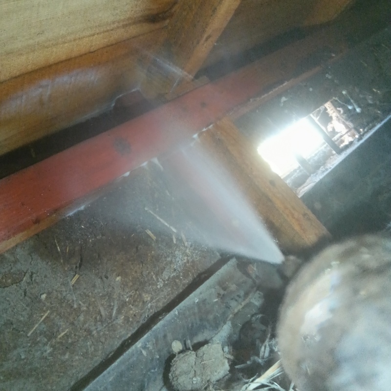 床下の木材にシロアリ駆除剤を散布