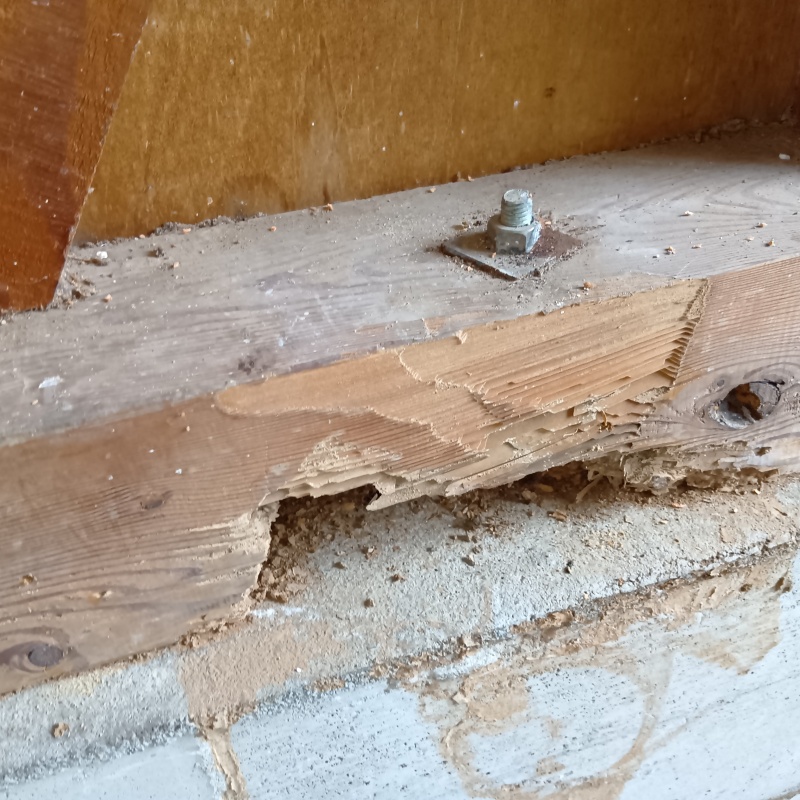 築年数30年のシロアリ駆除の施工事例（福井県鯖江市石生谷町）