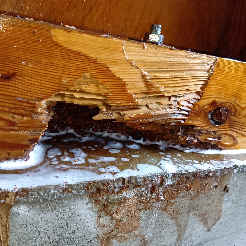 木部処理が完了した様子