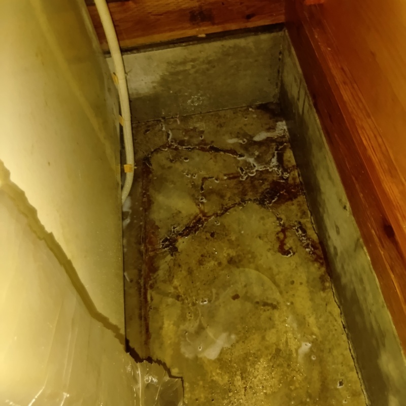 土壌処理が完了した様子