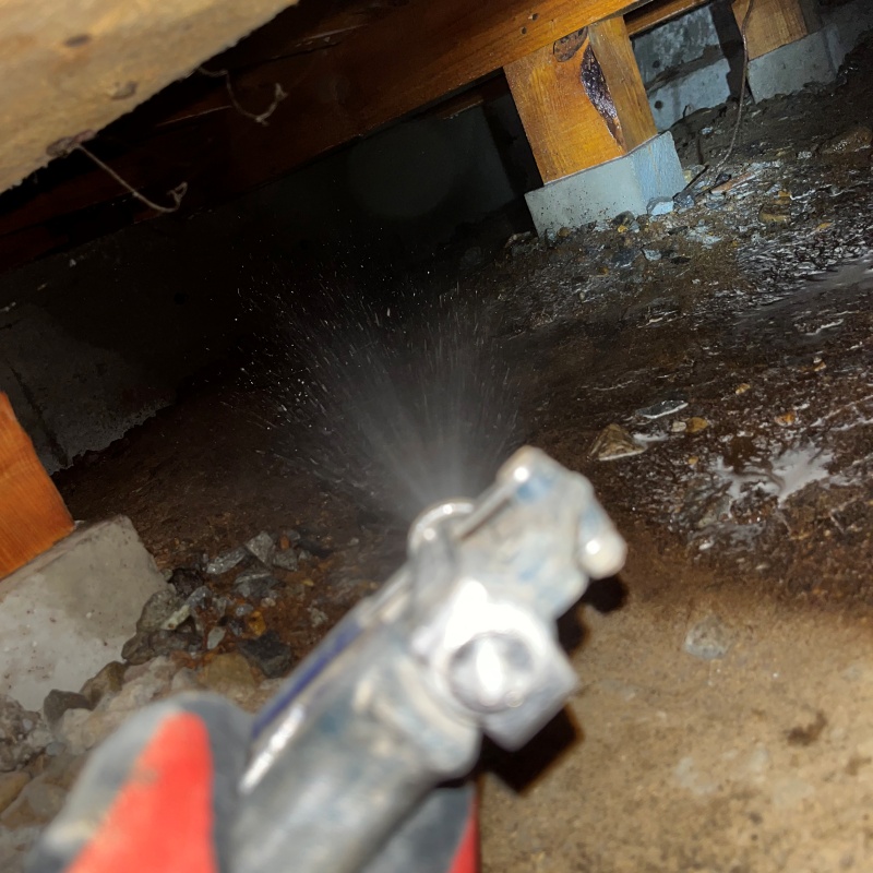 床下の地面にシロアリ駆除剤を散布