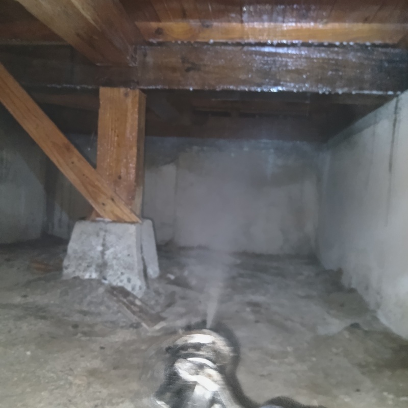 床下の木材にシロアリ駆除剤を散布