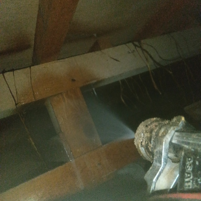 床下の木材にシロアリ駆除剤を散布