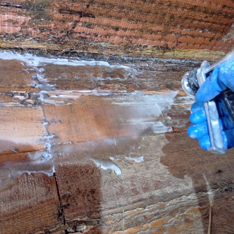 畳下の床にシロアリ駆除剤を散布