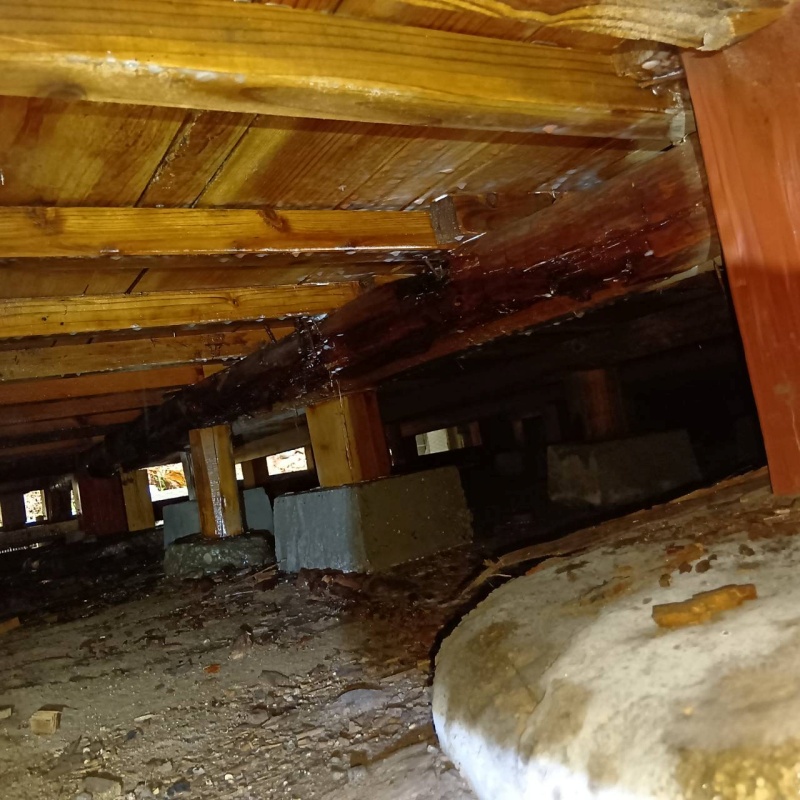 土壌処理が完了した様子