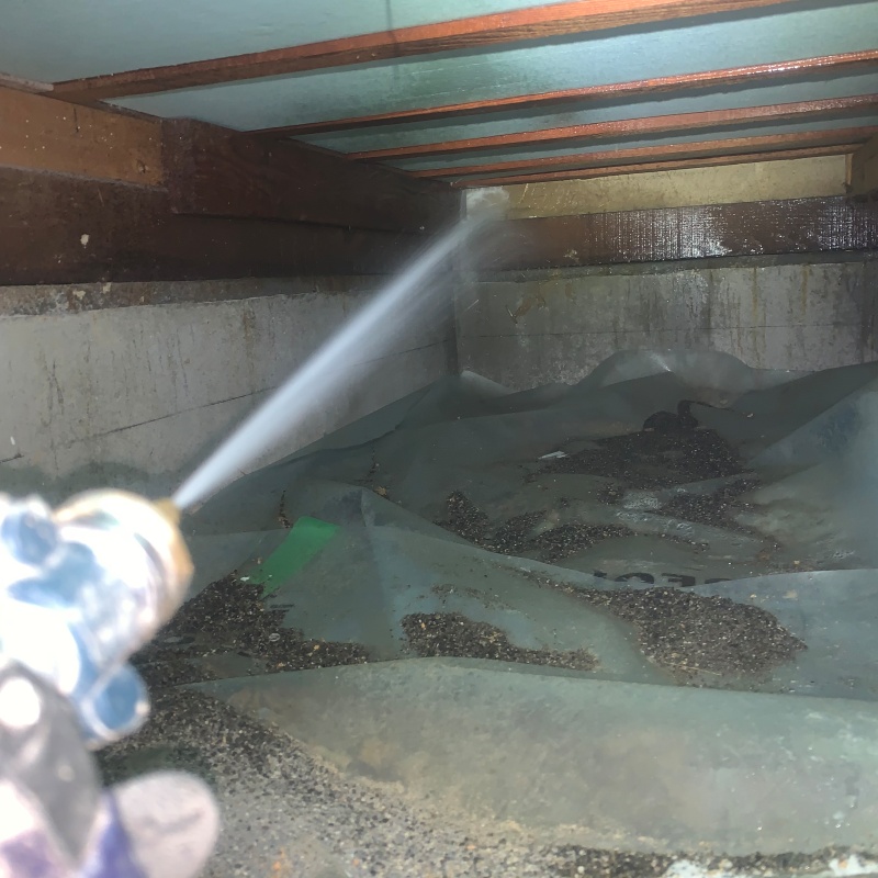 床下の木材にシロアリ駆除剤を散布