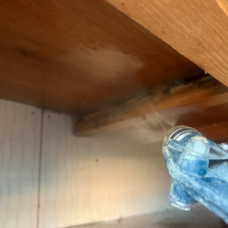 床下の木材にシロアリ駆除剤を散布