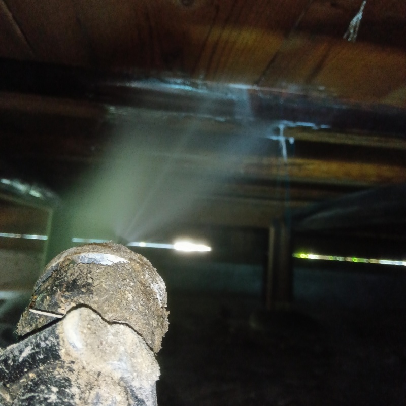 床下の木材にシロアリ駆除剤を散布