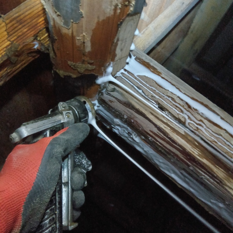 腐食した木材にシロアリ駆除剤を散布