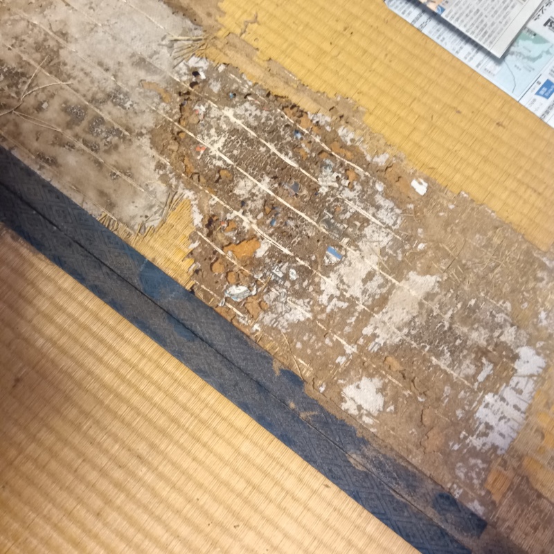 腐食した畳