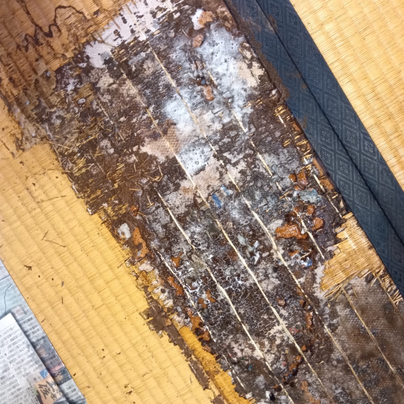 腐食した畳にシロアリ駆除剤を散布したあと