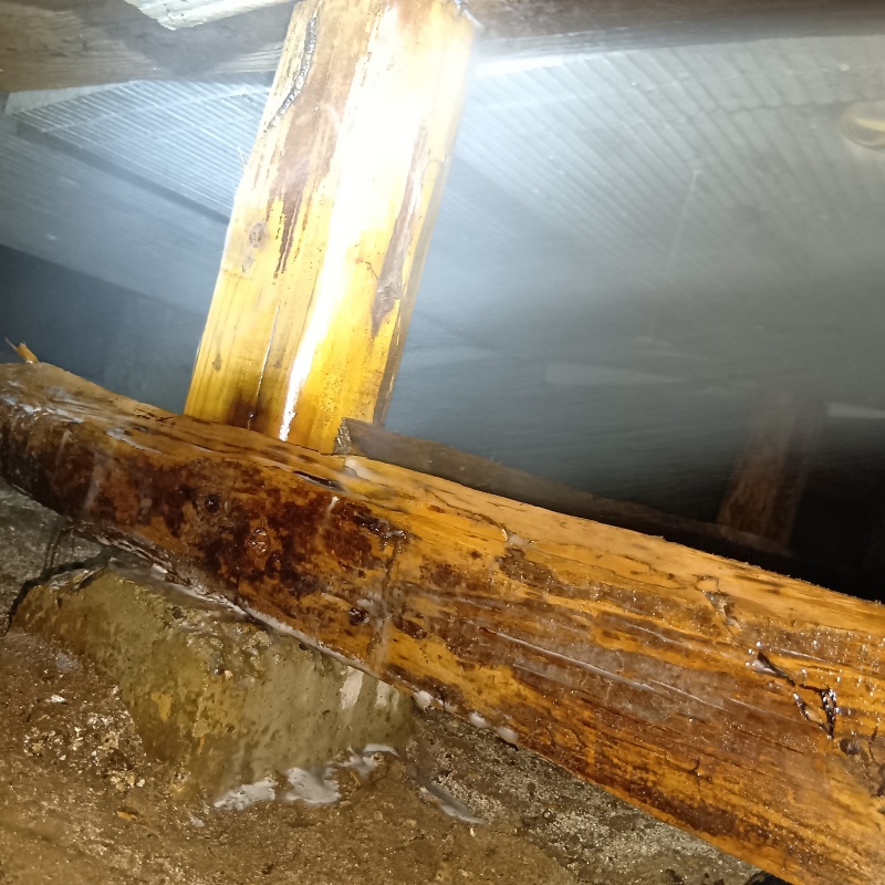 木部処理が完了した様子