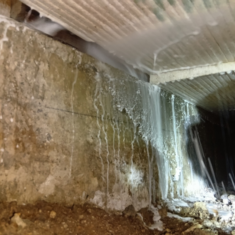 床下の基礎に防蟻剤を散布